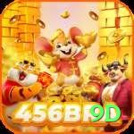 456bra - Pro Earning App